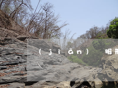 監(jiān)獄服刑人員不同意離婚代理詞