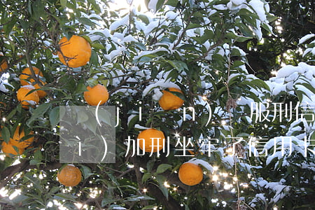 監(jiān)獄服刑信用卡逾期會(huì)加刑(坐牢了信用卡還不上會(huì)不會(huì)加刑)