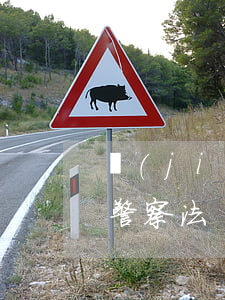 監(jiān)獄法全文(監(jiān)獄警察法)
