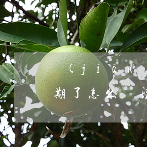 監(jiān)理發(fā)出的通知單逾期了怎么處理-監(jiān)理發(fā)出的通知單逾期了怎么處理呢