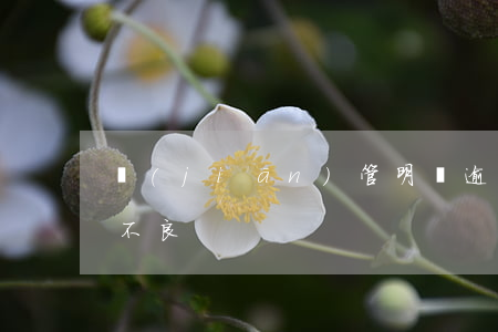 監(jiān)管明確逾期90天以上記入不良