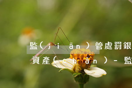 監(jiān)管處罰銀行隱瞞信用卡逾期資產(chǎn)-監(jiān)管處罰銀行隱瞞信用卡逾期資產(chǎn)怎么處理