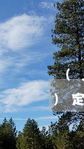 監(jiān)護(hù)人的設(shè)定可以分為哪幾種情況