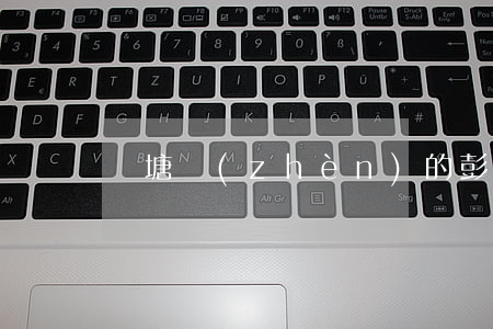 盤塘鎮(zhèn)的彭龍欠幾家網貸