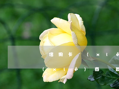 盤錦信用卡協(xié)商(欠信用卡跟銀行協(xié)商還款)