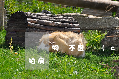 盤點實物類不良資產(chǎn)處置之法拍房