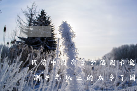 目前中国有多少信用卡逾期(全中国信用卡逾期半年以上的太多了,国家该昨个办)