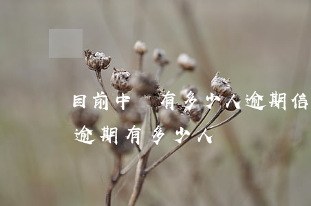目前中國有多少人逾期信用卡(疫情下信用卡逾期有多少人)