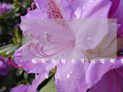 目前信用卡可以逾期多久(信用卡最多能逾期多久没事)