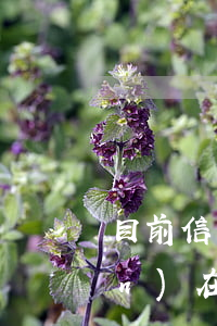 目前信用卡有多少人逾期(為什么現(xiàn)在信用卡逾期人那么多)