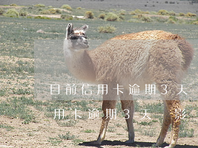 目前信用卡逾期3天會影響征信嗎-目前信用卡逾期3天會影響征信嗎知乎