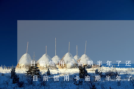 目前信用卡逾期半年了还是还不了怎么办-目前信用卡逾期半年了还是还不了怎么办呢