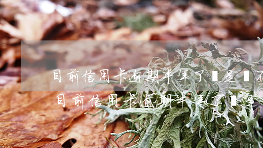 目前信用卡逾期半年了還是還不了怎么辦-目前信用卡逾期半年了還是還不了怎么辦呢