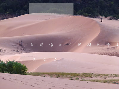 目前信用卡逾期还不上怎么办(欠信用卡逾期怎么办)