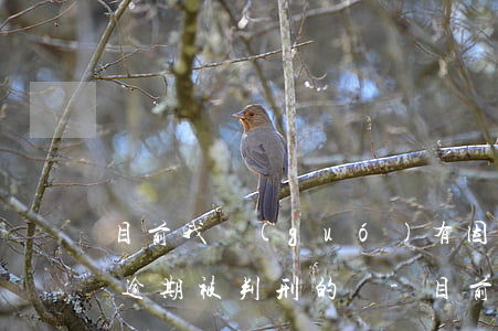 目前我國(guó)有因網(wǎng)貸逾期被判刑的嗎-目前我國(guó)有因網(wǎng)貸逾期被判刑的嗎知乎