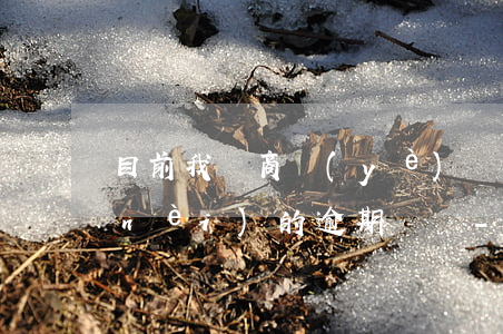 目前我國商業(yè)銀行可查詢幾年內(nèi)的逾期記錄-目前我國商業(yè)銀行可查詢幾年內(nèi)的逾期記錄?