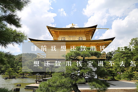 目前我想还款用钱宝进不去怎么办-目前我想还款用钱宝进不去怎么办理