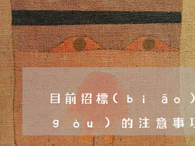 目前招標(biāo)代理機(jī)構(gòu)的注意事項(xiàng)