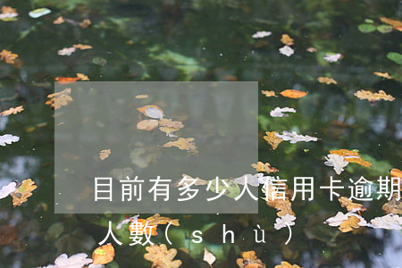 目前有多少人信用卡逾期(目前信用卡逾期的人數(shù))