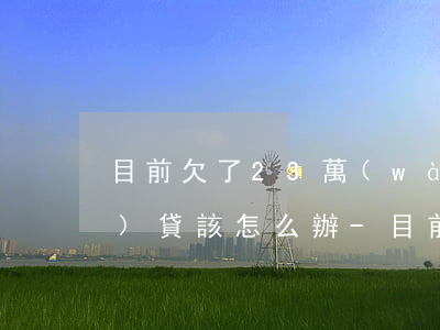 目前欠了23萬(wàn)的網(wǎng)貸該怎么辦-目前欠了23萬(wàn)的網(wǎng)貸該怎么辦呢