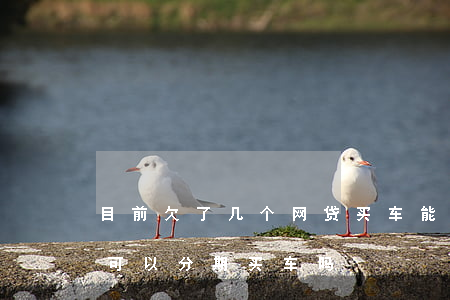 目前欠了几个网贷买车能做分期吗(网贷多了可以分期买车吗)