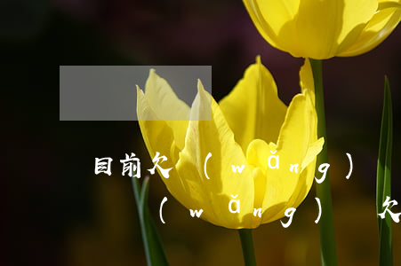 目前欠網(wǎng)貸10萬有必要賣車嗎(網(wǎng)貸欠10萬還能車貸嗎)
