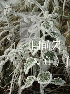 目前欠網(wǎng)貸40萬還要繼續(xù)借嗎-