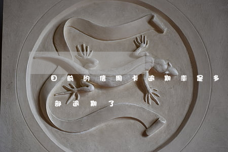 目前的信用卡逾期率是多少(十幾個信用卡全部逾期了)