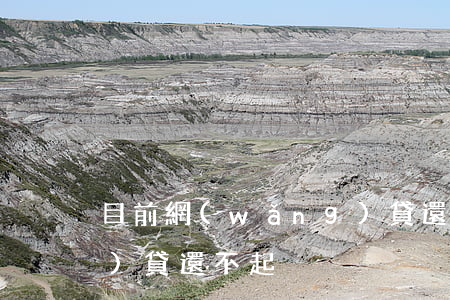 目前網(wǎng)貸還不起(網(wǎng)貸 還不起)