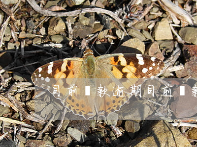 目前貸款逾期(目前貸款逾期怎么辦)