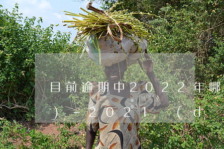 目前逾期中2022年哪里可網(wǎng)-2021當(dāng)前逾期哪里可以貸款
