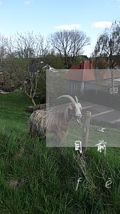 目前過(guò)世繼承她房子有什么費(fèi)用(老人去世后繼承房產(chǎn)需要繳納什么費(fèi)用)