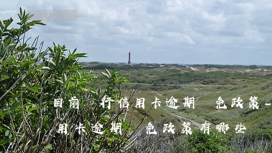 目前銀行信用卡逾期減免政策-目前銀行信用卡逾期減免政策有哪些