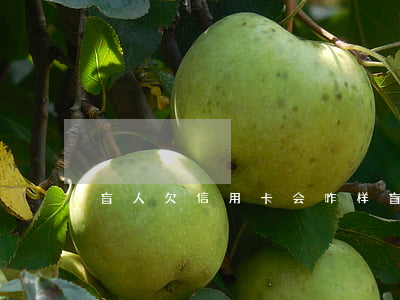 盲人欠信用卡会咋样(盲人欠信用卡会咋样呢)