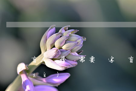 盲人離婚還需要簽字嗎(盲人練字離婚后續(xù))
