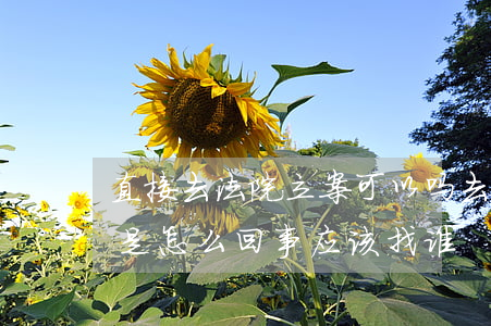 直接去法院立案可以吗(去法院立案不给立案是怎么回事应该找谁)