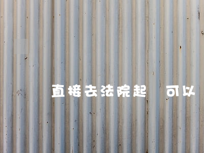直接去法院起訴可以嗎(自己可以去法院起訴嗎)