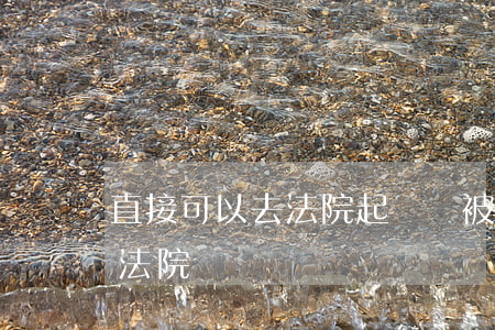 直接可以去法院起訴嗎(被起訴可不可以不去法院)