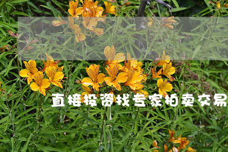 直接投资找专家 拍卖交易成本高