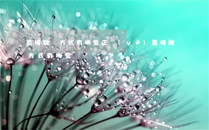 直接融資方式有哪些(企業(yè)直接融資方式有哪些)