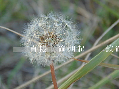 直接貸逾期起訴(貸款逾期被起訴立案)