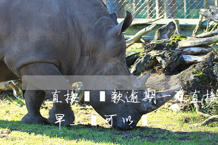 直接貸還款逾期一天(直接貸逾期一天,第二天早上還可以嗎)