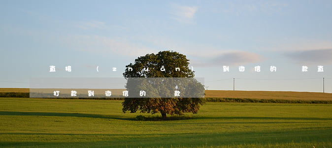 直接轉(zhuǎn)賬到微信的貸款(直接打款到微信的貸款)