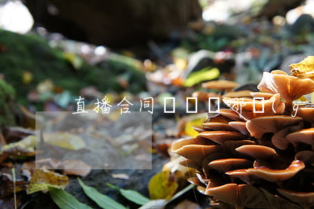 直播合同糾紛屬哪個(gè)部門管