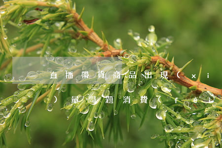 直播帶貨商品出現(xiàn)質(zhì)量問題，消費(fèi)者該如何維權(quán)？