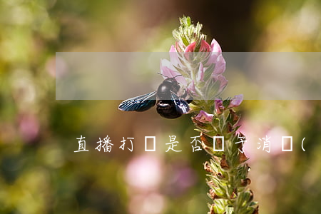 直播打賞是否屬于消費(fèi)行為