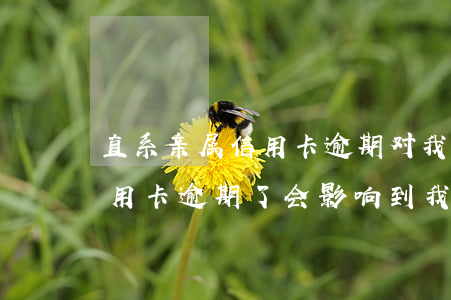 直系亲属信用卡逾期对我有影响不 亲戚的信用卡逾期了会影响到我吗