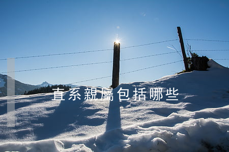直系親屬包括哪些