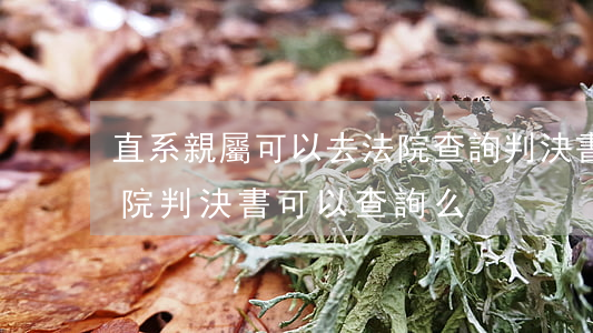 直系親屬可以去法院查詢判決書嗎(別人的法院判決書可以查詢么)