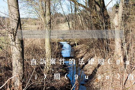 直訴案件的法律規(guī)定(公安機(jī)關(guān)直訴案件法條)